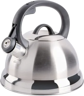 Mr. Coffee Flintshire Stainless Steel Whistling Tea Kettle