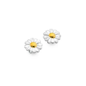 Spring daisy studs